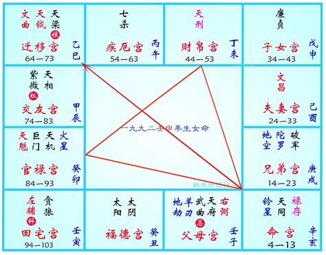 廉贞星|紫微斗數